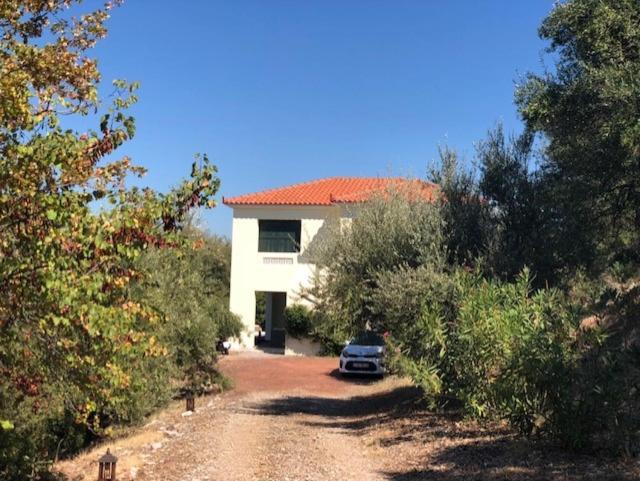 Villa Kyparissia De Wandelboom Vrises  Esterno foto