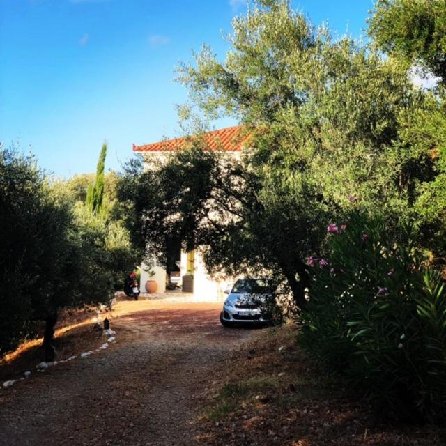 Villa Kyparissia De Wandelboom Vrises  Esterno foto