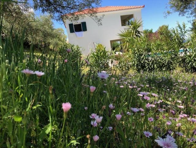 Villa Kyparissia De Wandelboom Vrises  Esterno foto