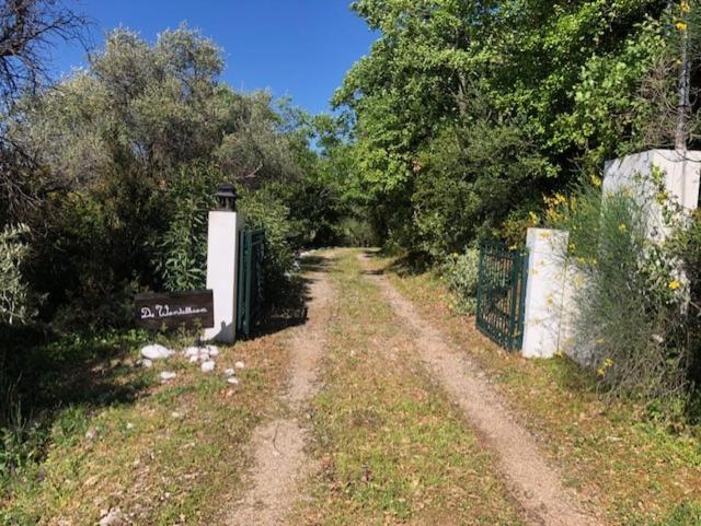 Villa Kyparissia De Wandelboom Vrises  Esterno foto