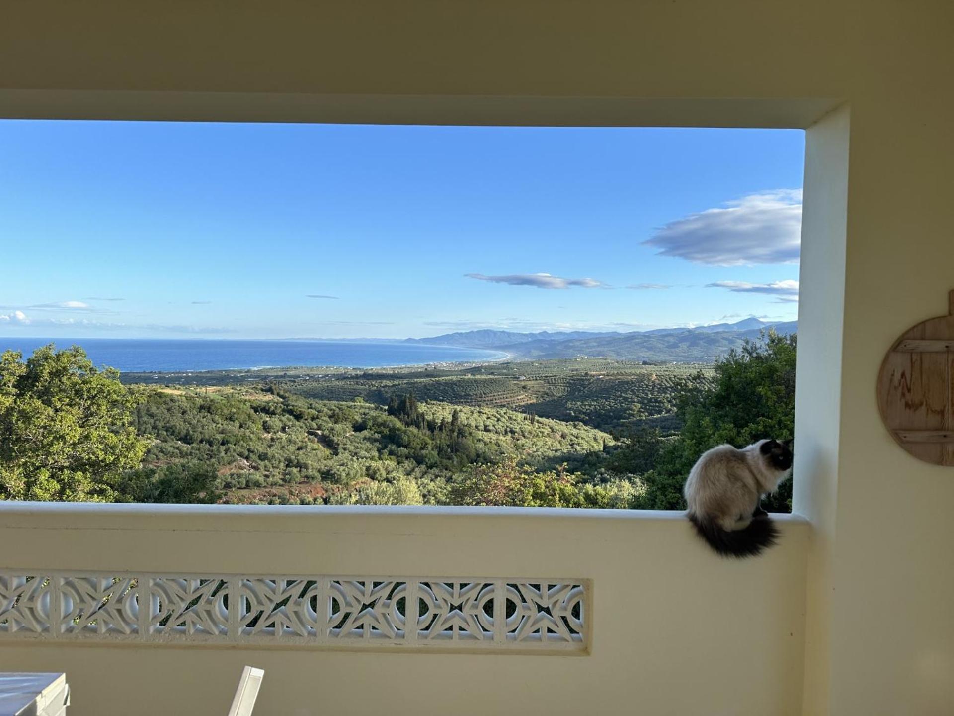 Villa Kyparissia De Wandelboom Vrises  Esterno foto