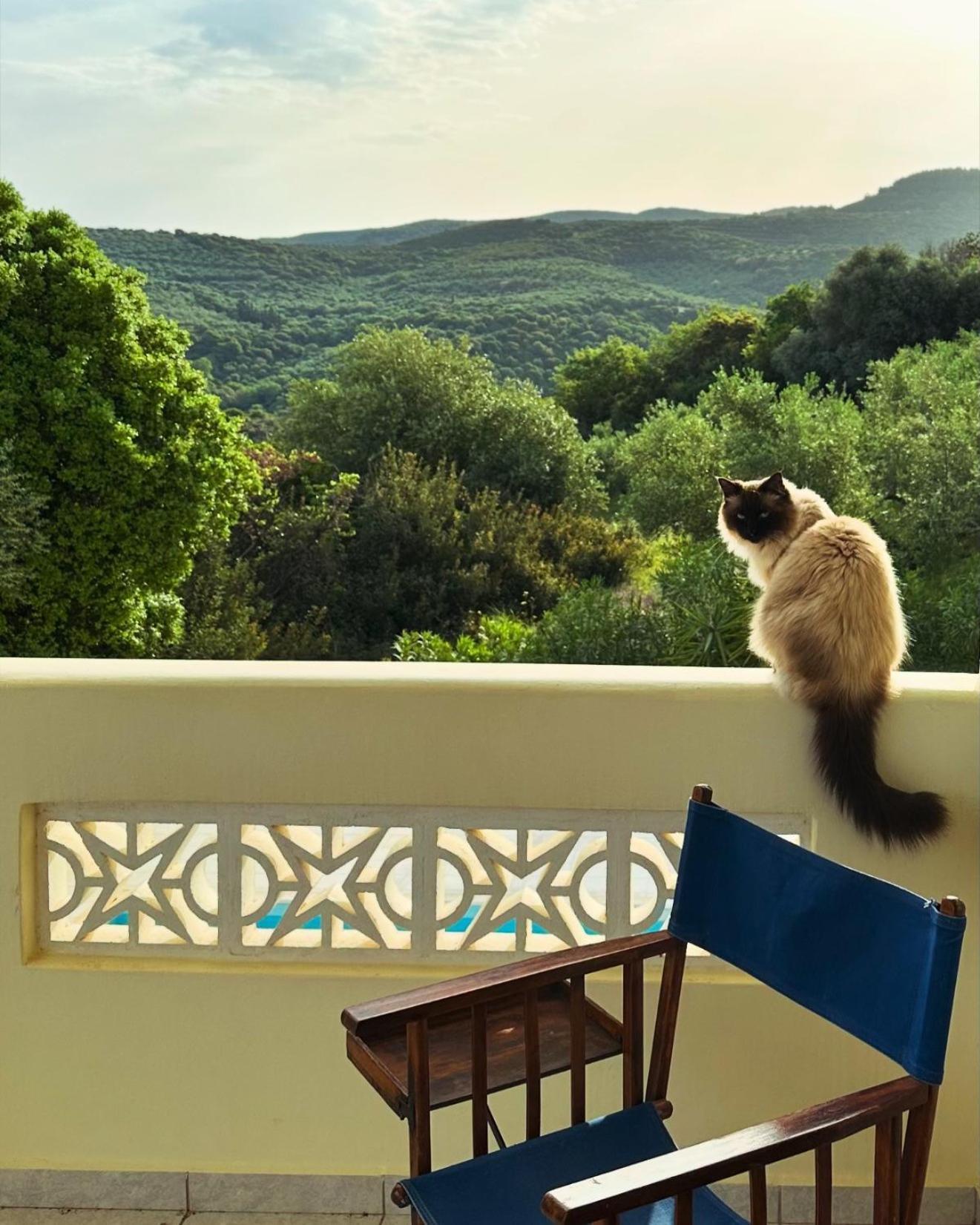 Villa Kyparissia De Wandelboom Vrises  Esterno foto